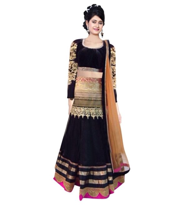 Indian Designer Multi Color Net Embroidered Semi Stitched Lehenga