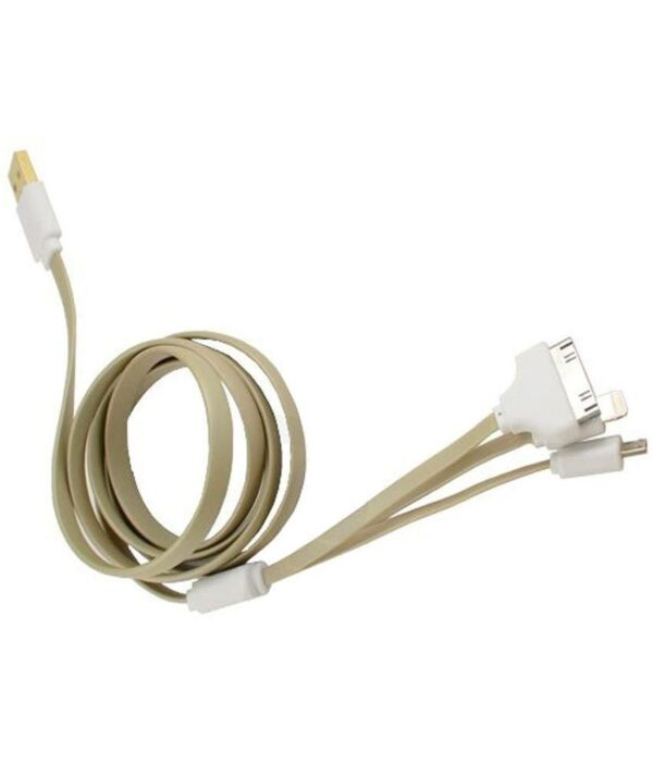 Callmate 4-in-1 USB Data Cable For Apple iPad 2 Golden