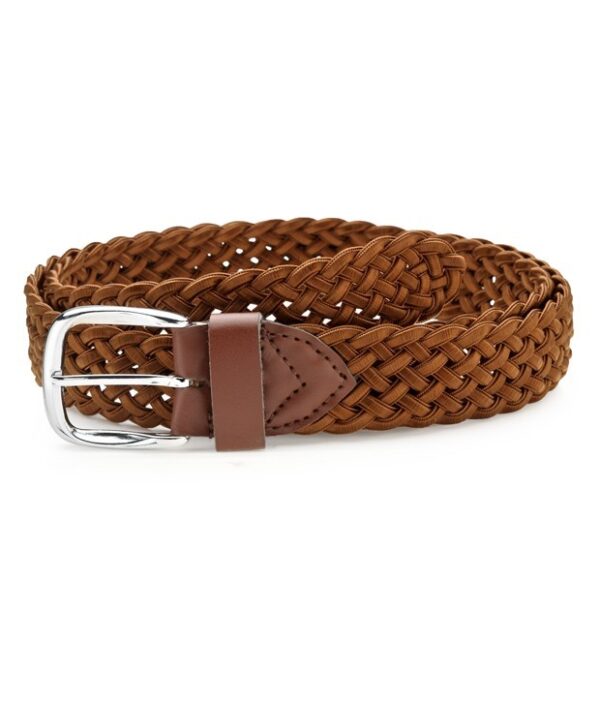 Oleva Brown Casual Single Women Belt