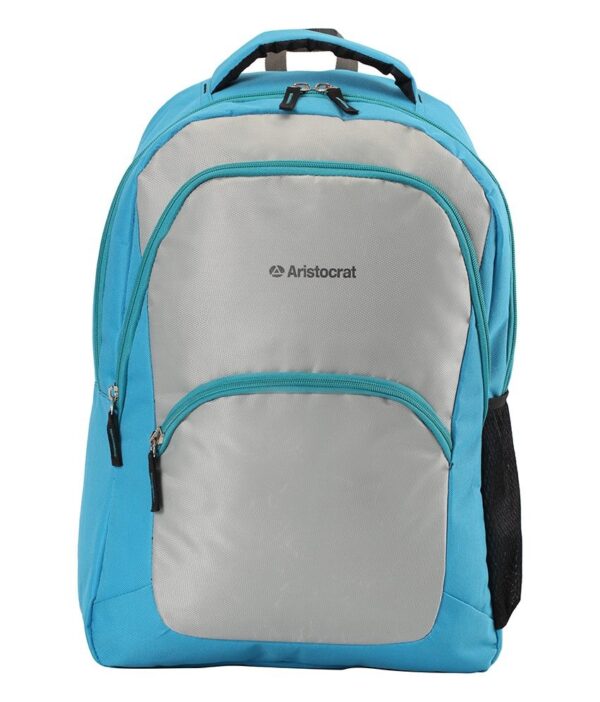 Aristocrat 25 ltr Light blue Casual Backpack (BPX2LBL)