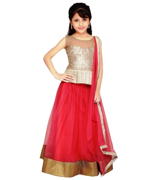 Najara Fashion Pink Net Lehenga Choli And Dupatta